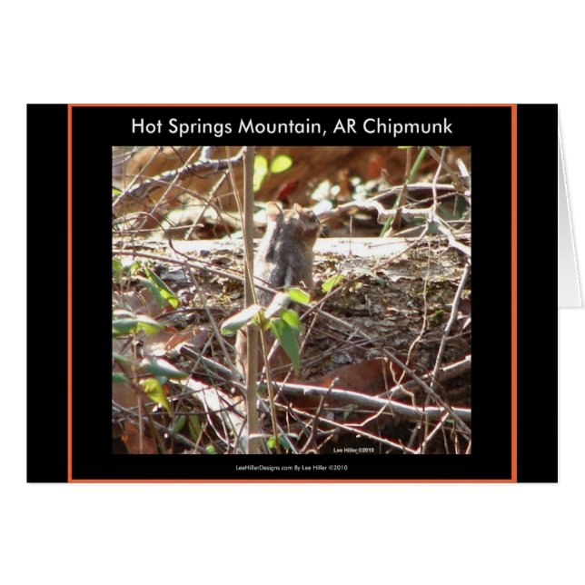 Hot Springs Mountain, Arkansas Chipmunk Gifts (Voorkant Horizontaal)