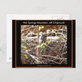 Hot Springs Mountain, Arkansas Chipmunk Gifts Briefkaart (Voorkant / Achterkant)