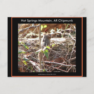 Hot Springs Mountain, Arkansas Chipmunk Gifts Briefkaart