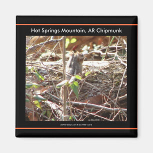 Hot Springs Mountain, Arkansas Chipmunk Gifts Magneet