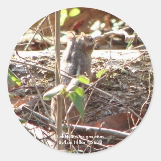 Hot Springs Mountain, Arkansas Chipmunk Gifts Ronde Sticker (Voorkant)