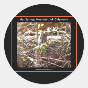 Hot Springs Mountain, Arkansas Chipmunk Gifts Ronde Sticker