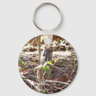 Hot Springs Mountain, Arkansas Chipmunk Gifts Sleutelhanger