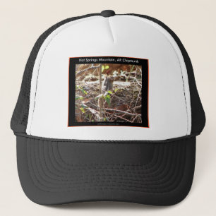 Hot Springs Mountain, Arkansas Eekhoorn-cadeaus Trucker Pet
