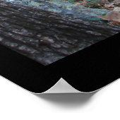 Hot Springs Mountain Arkansas Path Large Print (Hoek)