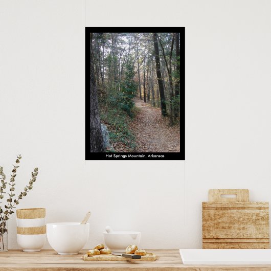 Hot Springs Mountain Arkansas Path Large Print (Keuken)
