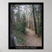 Hot Springs Mountain Arkansas Path Large Print (Voorkant)