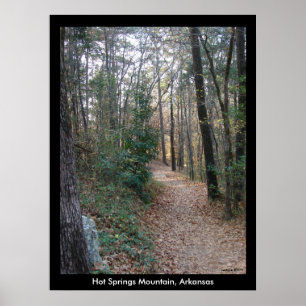Hot Springs Mountain Arkansas Path Large Print