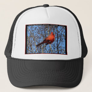 Hot Springs Mountain Promenade Cardinal Cadeaus Trucker Pet