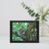 Hot Springs National Park, AR Chipmunk Snack Gifts Briefkaart (Staand voorkant)