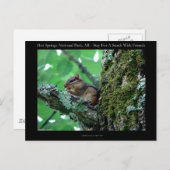 Hot Springs National Park, AR Chipmunk Snack Gifts Briefkaart (Voorkant / Achterkant)