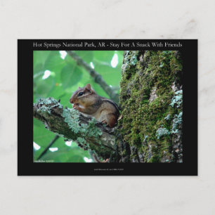 Hot Springs National Park, AR Chipmunk Snack Gifts Briefkaart