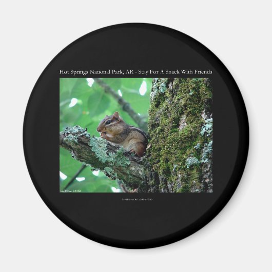 Hot Springs National Park, AR Chipmunk Snack Gifts Magneet (Voorkant)
