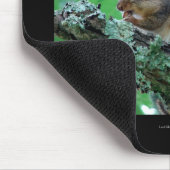 Hot Springs National Park, AR Chipmunk Snack Gifts Muismat (Hoek)