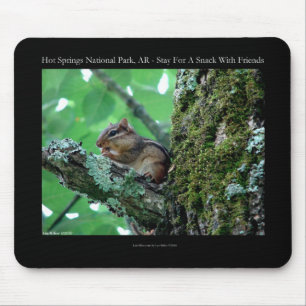 Hot Springs National Park, AR Chipmunk Snack Gifts Muismat