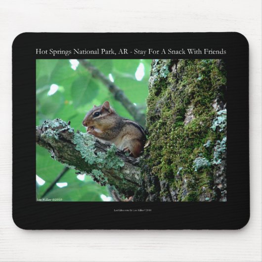 Hot Springs National Park, AR Chipmunk Snack Gifts Muismat (Voorkant)