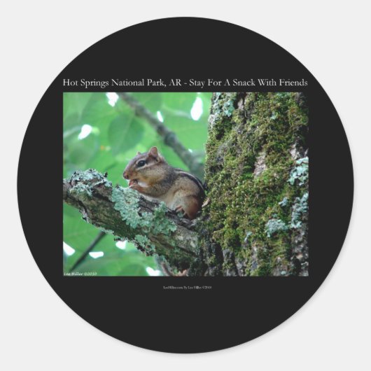 Hot Springs National Park, AR Chipmunk Snack Gifts Ronde Sticker (Voorkant)