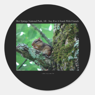 Hot Springs National Park, AR Chipmunk Snack Gifts Ronde Sticker