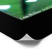 Hot Springs National Park, AR Chipmunk Snack Poster (Hoek)