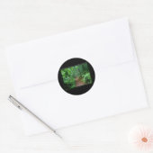 Hot Springs National Park, AR Fading Fog Gifts Ronde Sticker (Envelop)