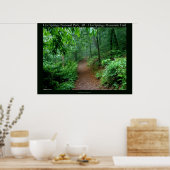 Hot Springs National Park, AR Fading Fog Posters (Keuken)