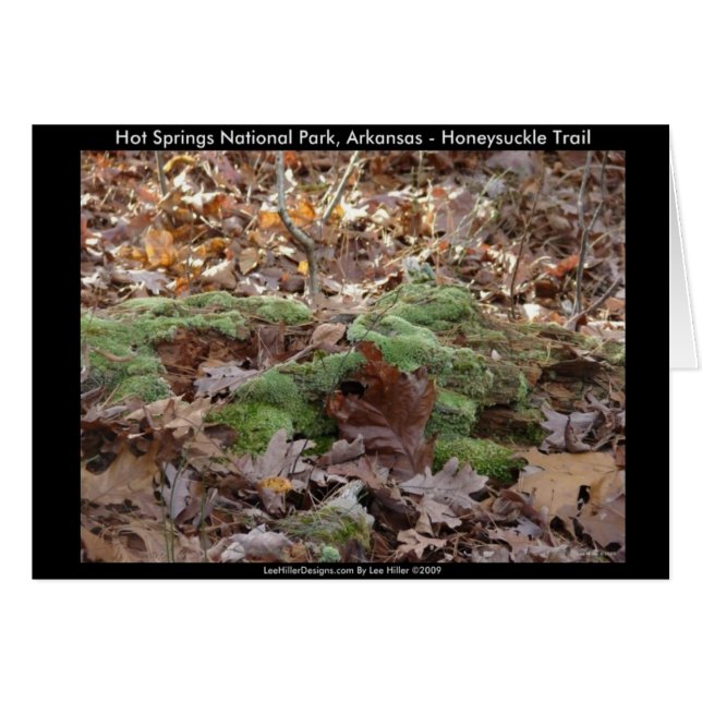 Hot Springs National Park, AR - Honeysuckle Trail (Voorkant Horizontaal)