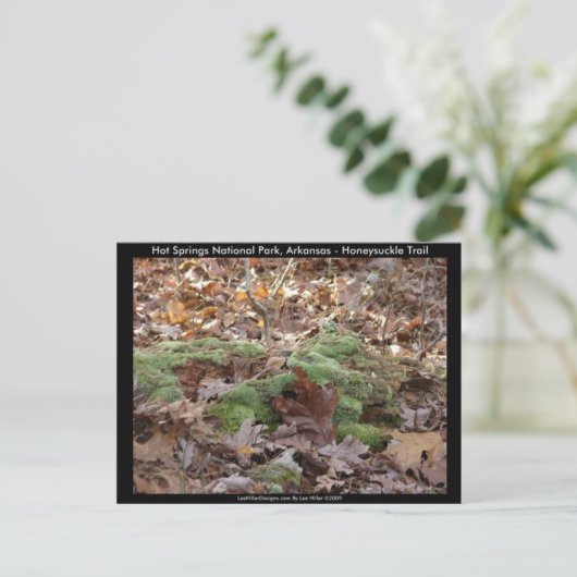 Hot Springs National Park, AR - Honeysuckle Trail Briefkaart (Staand voorkant)