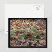 Hot Springs National Park, AR - Honeysuckle Trail Briefkaart (Voorkant / Achterkant)