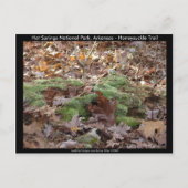 Hot Springs National Park, AR - Honeysuckle Trail Briefkaart (Voorkant)