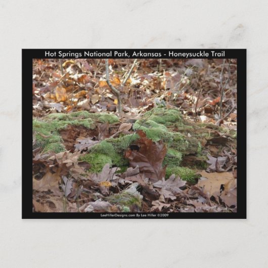 Hot Springs National Park, AR - Honeysuckle Trail Briefkaart (Voorkant)