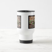 Hot Springs National Park, AR - Honeysuckle Trail Reisbeker (Center)