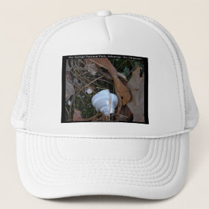 Hot Springs National Park, AR - Ijsornamentcadeaus Trucker Pet