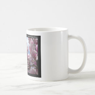 Hot Springs National Park AR Saucer Magnoia Gifts Koffiemok