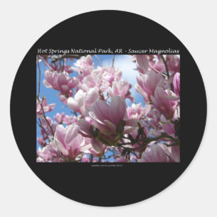 Hot Springs National Park AR Saucer Magnoia Gifts Ronde Sticker