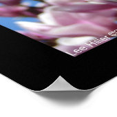 Hot Springs National Park AR Saucer Magnoia Poster (Hoek)