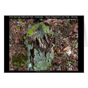 Hot Springs National Park, AR Upper Dogwood Loop