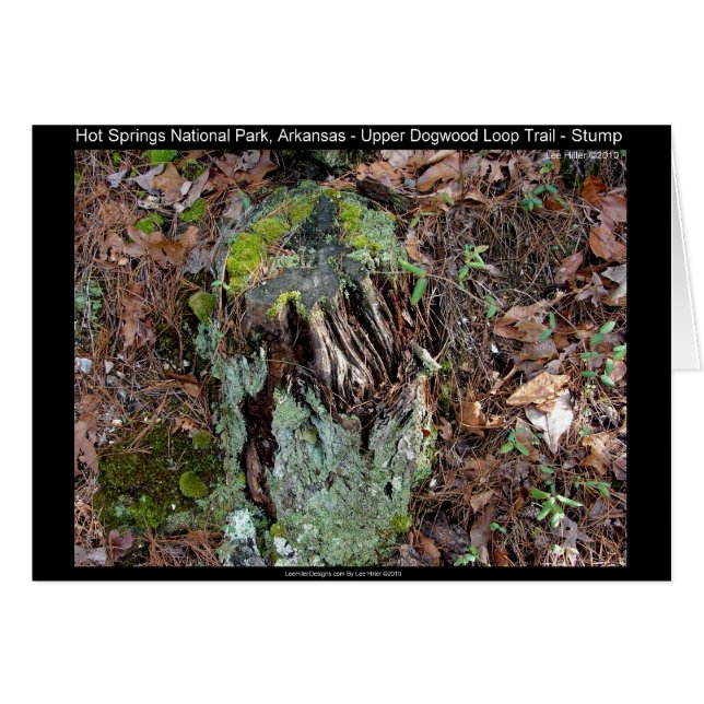 Hot Springs National Park, AR Upper Dogwood Loop (Voorkant Horizontaal)