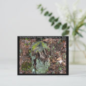 Hot Springs National Park, AR Upper Dogwood Loop Briefkaart (Staand voorkant)