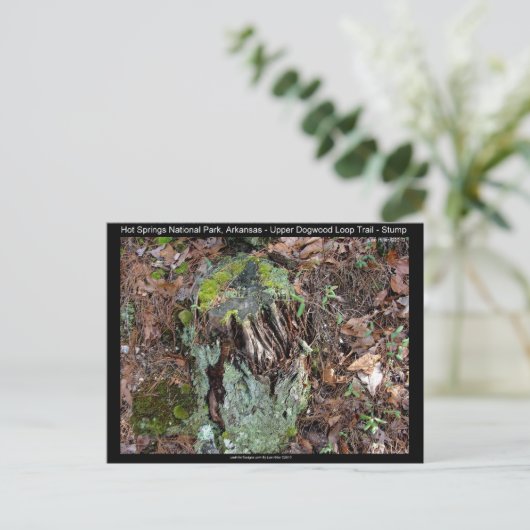 Hot Springs National Park, AR Upper Dogwood Loop Briefkaart (Staand voorkant)