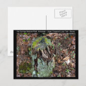 Hot Springs National Park, AR Upper Dogwood Loop Briefkaart (Voorkant / Achterkant)