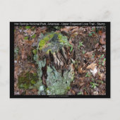 Hot Springs National Park, AR Upper Dogwood Loop Briefkaart (Voorkant)