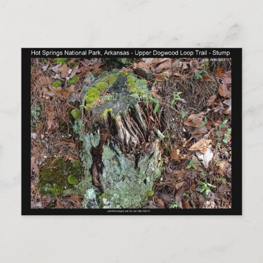 Hot Springs National Park, AR Upper Dogwood Loop Briefkaart (Voorkant)