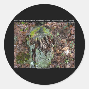 Hot Springs National Park, AR Upper Dogwood Loop Ronde Sticker