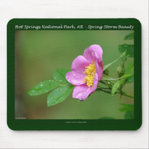 Hot Springs National Park, AR Wild Rose Gifts Muismat