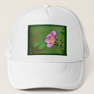 Hot Springs National Park, AR  Wild Rose Gifts Trucker Pet