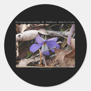 Hot Springs National Park, AR Wilde Viooltjes Cade Ronde Sticker