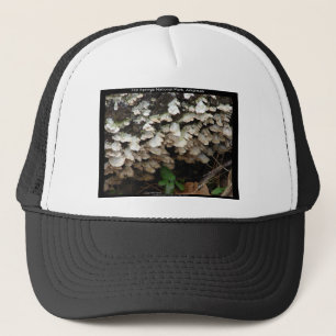 Hot Springs National Park, Arkansas Boomzwam Trucker Pet