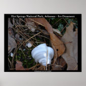 Hot Springs National Park, Arkansas - Ice Ornament Poster (Voorkant)