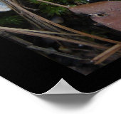 Hot Springs National Park, Arkansas - Ice Ornament Poster (Hoek)