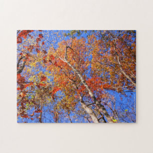 Hot Springs National Park Autumn laat puzzle Legpuzzel